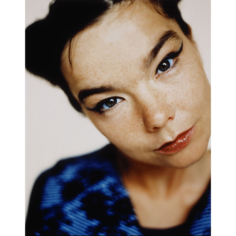 Πίνακας σε καμβά Bjork